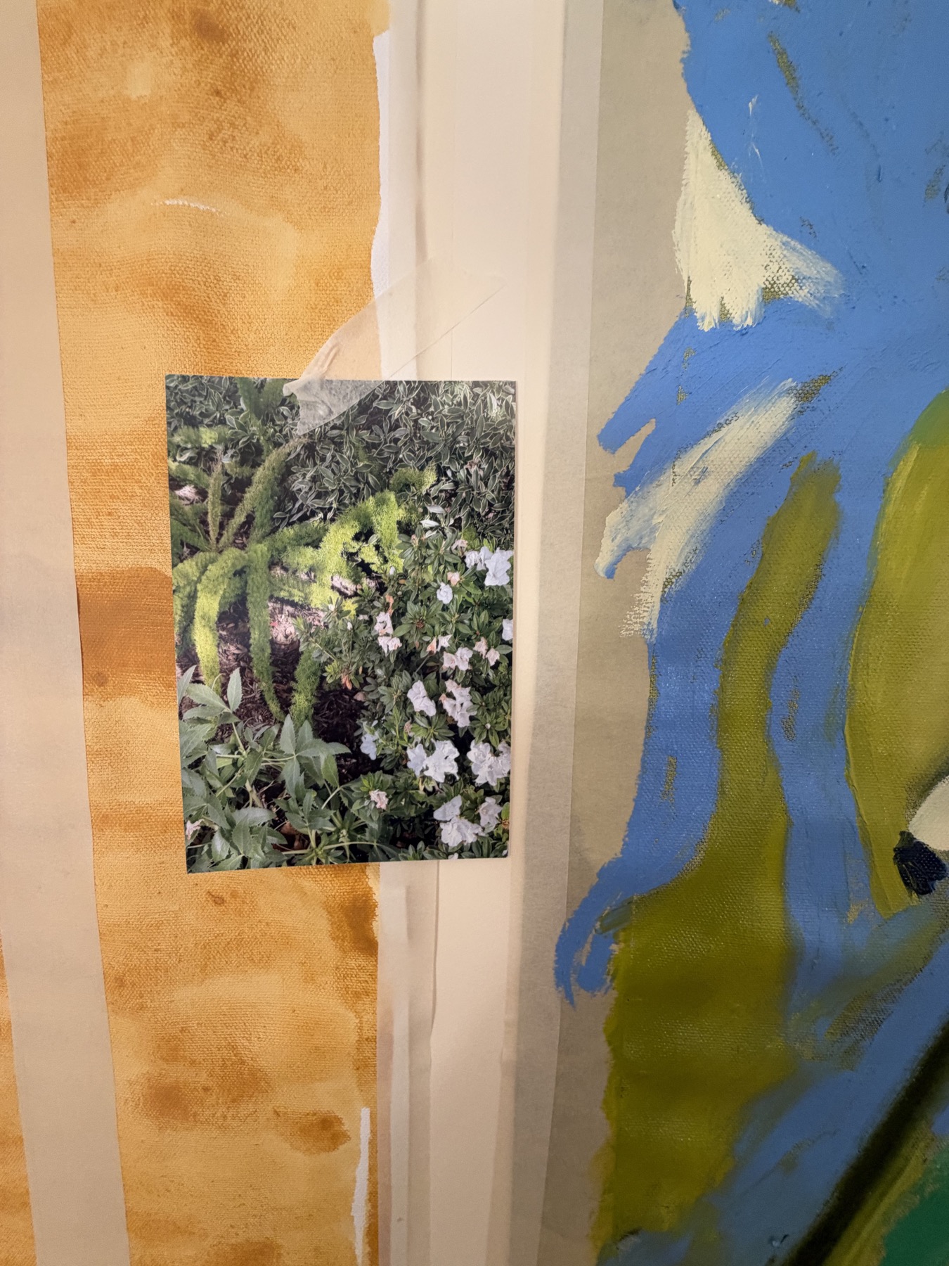 A botanical reference photograph taped beside the Morning Glory painting.